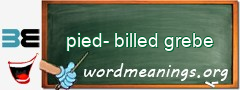 WordMeaning blackboard for pied-billed grebe
